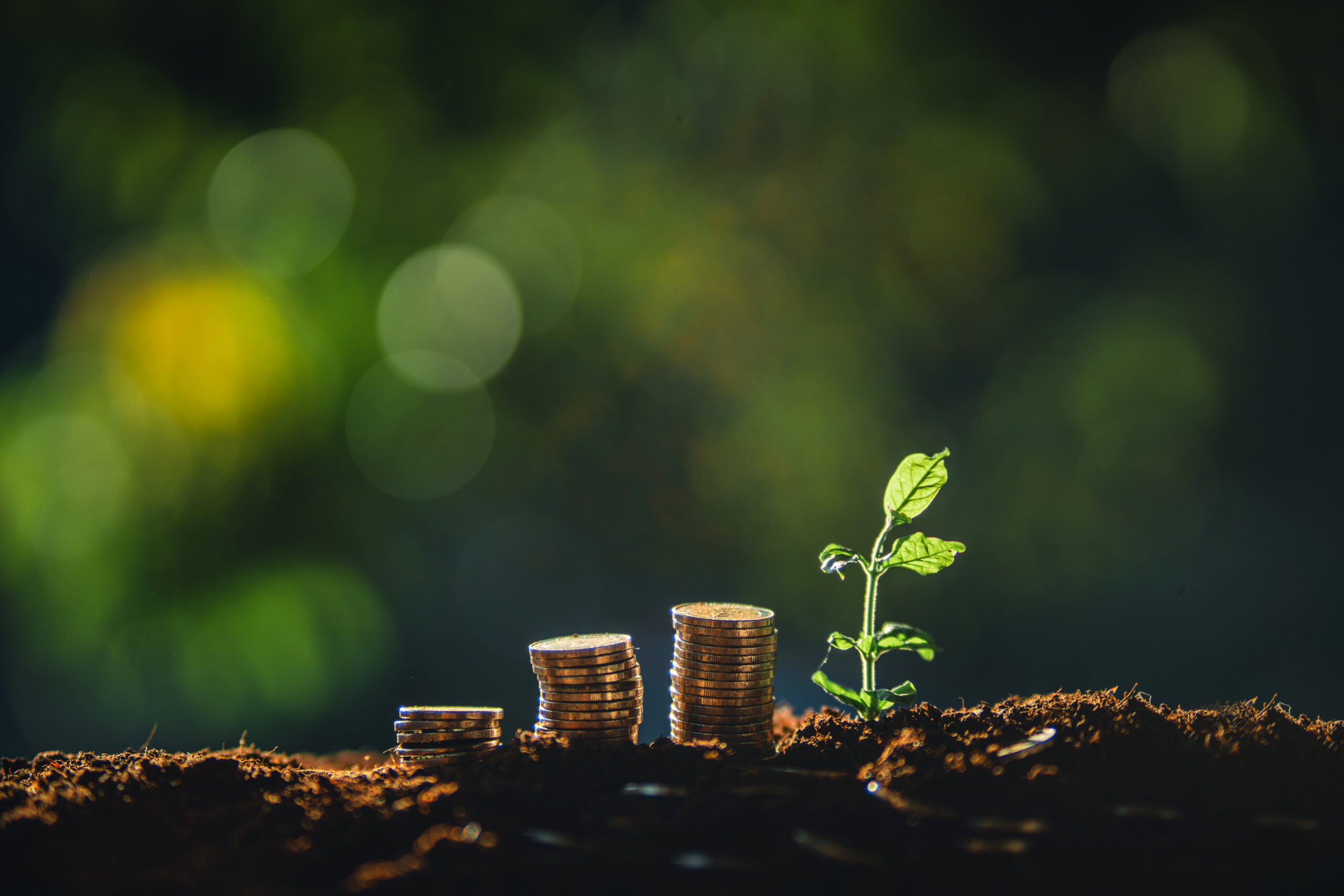 Money coins stack grow up to saving money